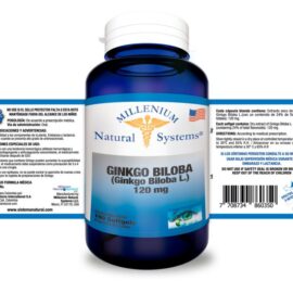 Ginkgo Biloba - Image 2