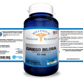 Ginkgo Biloba - Image 2