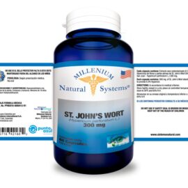 St. John`s Wort - Image 2