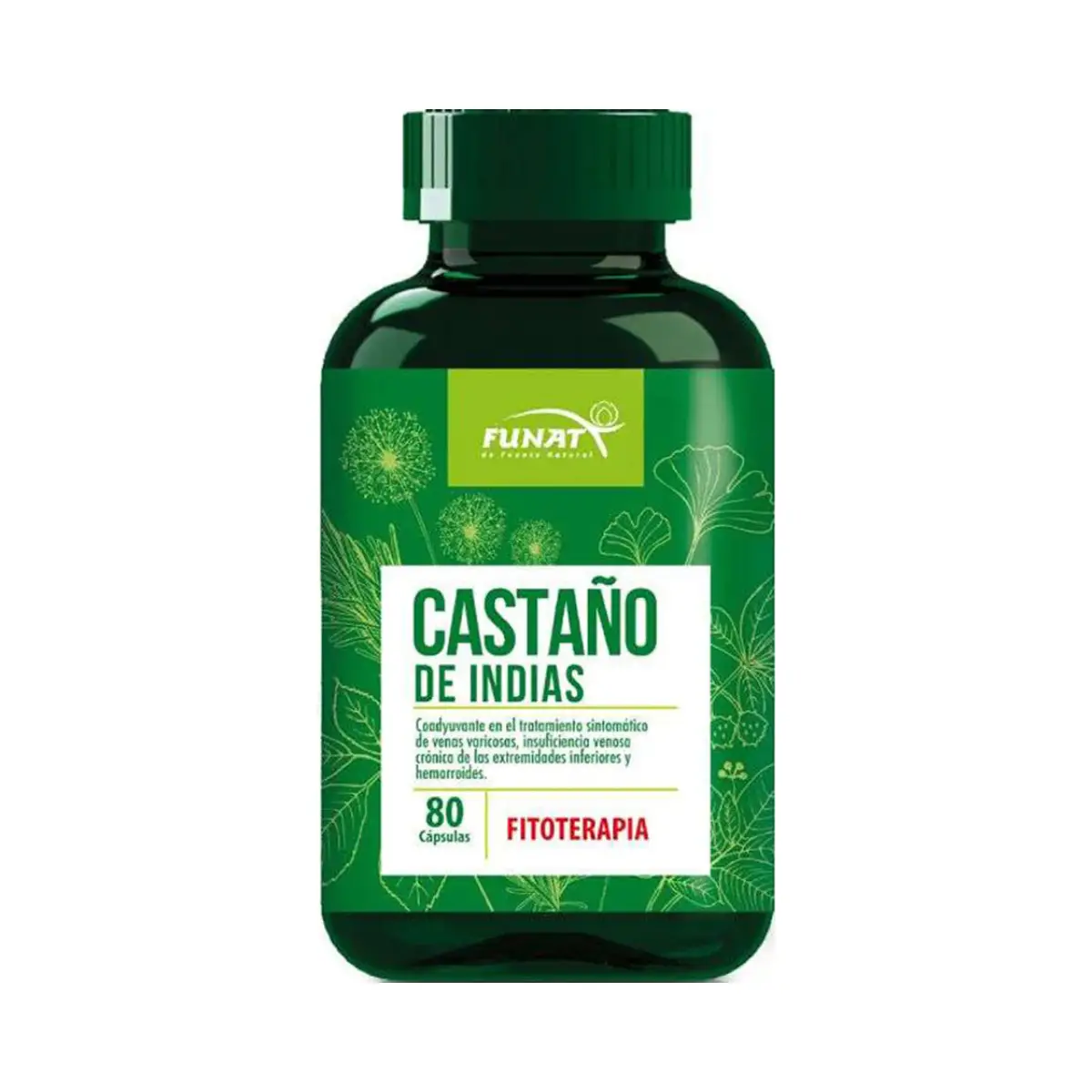 Castaño de indias en cápsulas