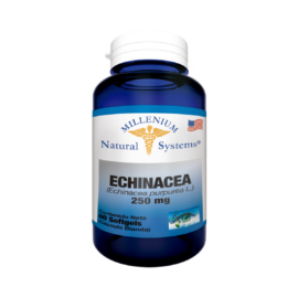 Echinacea 250 mg - Image 1