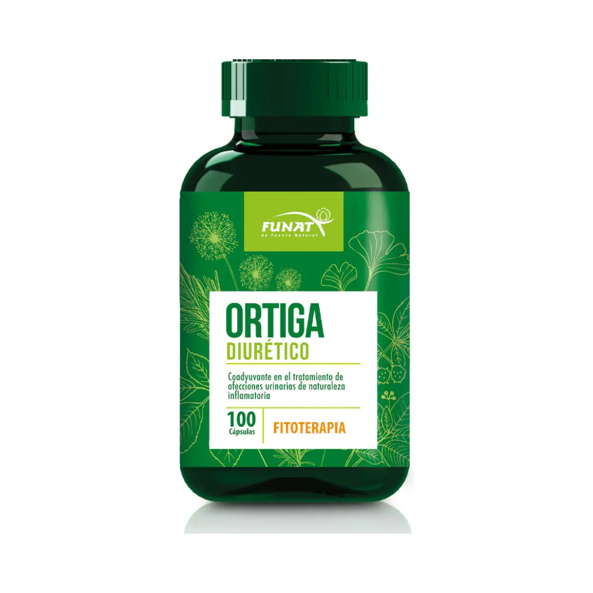 Ortiga