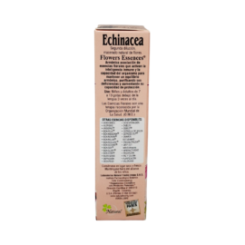 Echinacea - Image 2