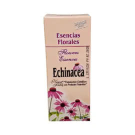 Echinacea - Image 1