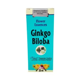 Ginkgo Biloba - Image 1